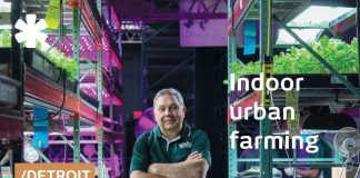 Detroit Organic: Urban Garden/New Community Living